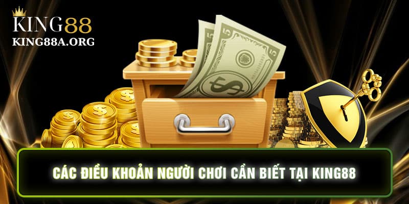 Điều khoản điều kiện người chơi cần biết tại King88