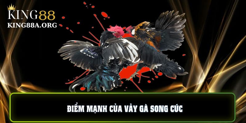 Điểm mạnh của vảy gà song cúc