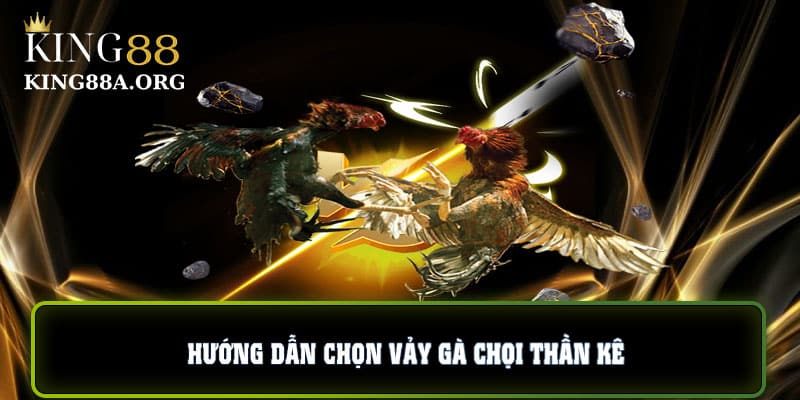 Hướng dẫn chọn vảy gà chọi thần kê