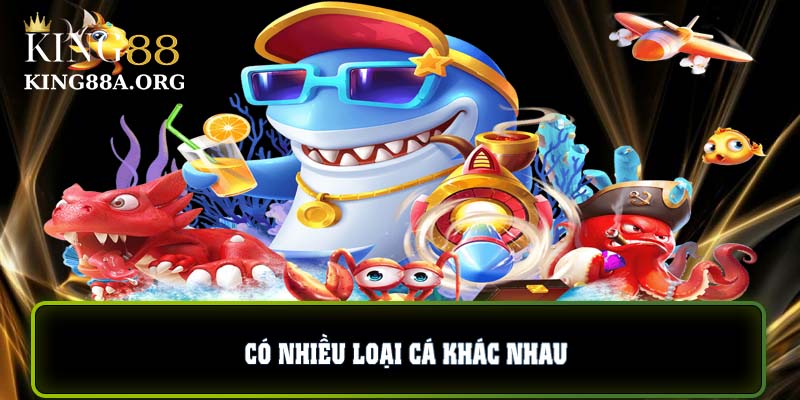 Có nhiều loại cá khác nhau