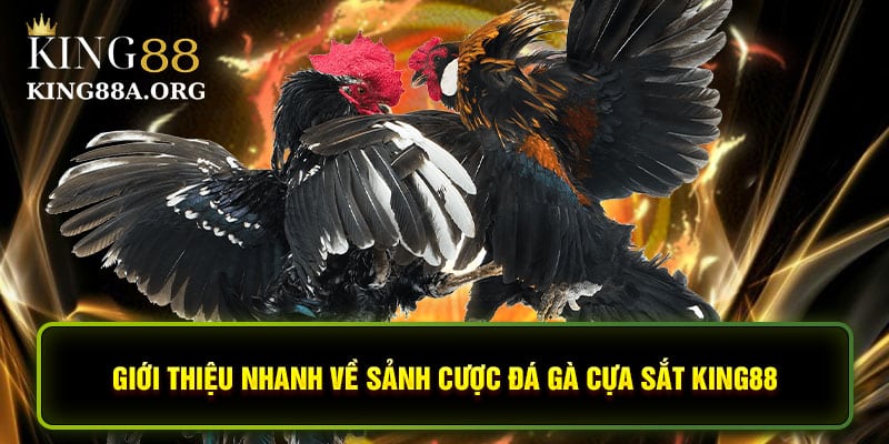 Giới thiệu nhanh về sảnh cược đá gà cựa sắt King88