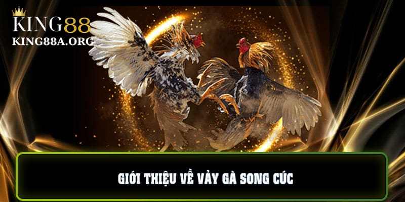Giới thiệu về vảy gà song cúc