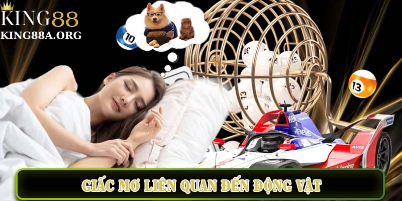 Giấc mơ lên quan đến động vật
