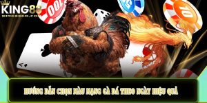 Hướng dẫn chọn màu mạng gà đá theo ngày hiệu quả